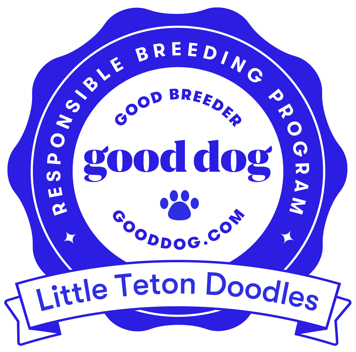 Little teton doodles responsible breeding program