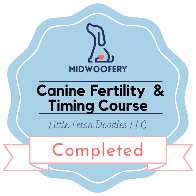 A promotional banner for the Midwoody Canine Fertility & Timing Course, featuring a professional logo and course details.