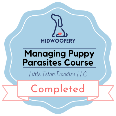 Midwoofery Puppy Parasites Course Badge