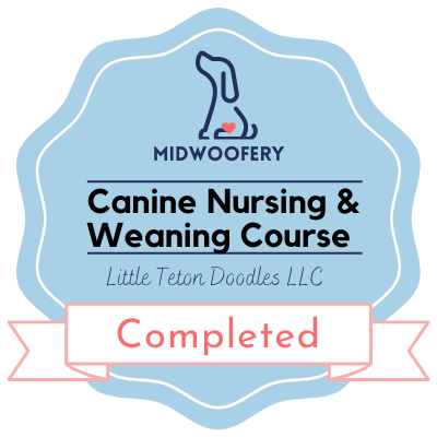 Midwoofery Weaning Course Badge